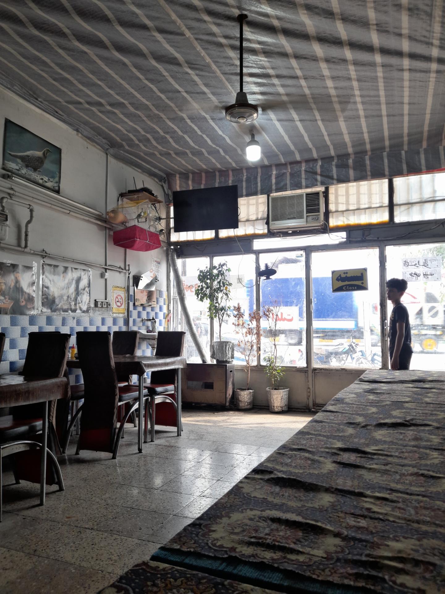 عکس دیزی سید