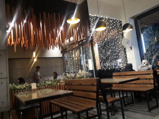 عکس فست فود ویانا