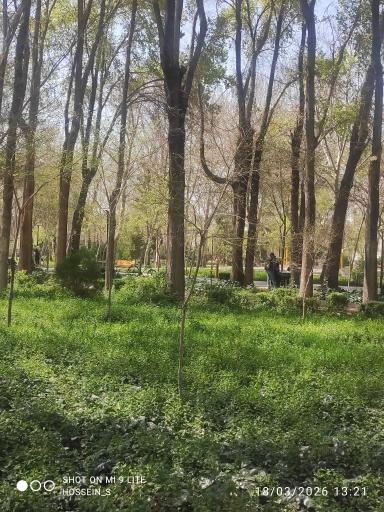 عکس پارک باقوشخانه