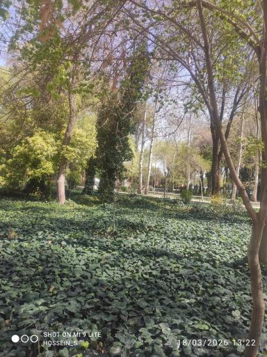 عکس پارک باقوشخانه