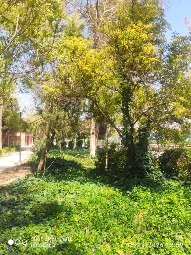 عکس پارک باقوشخانه