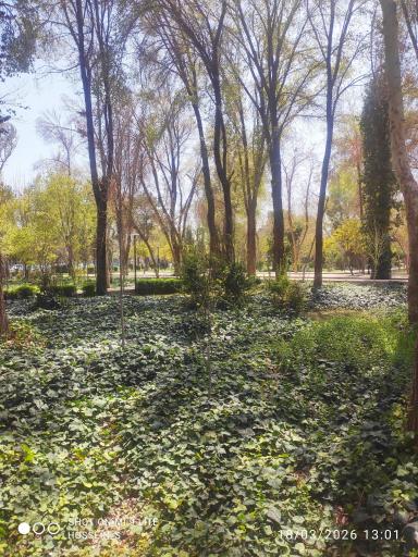 عکس پارک باقوشخانه