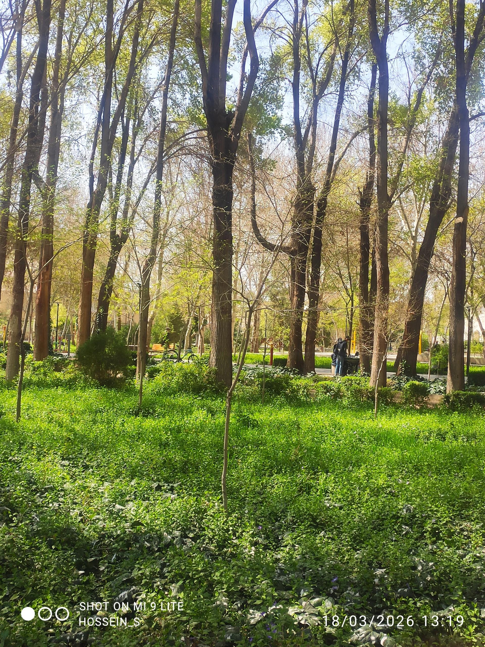 عکس پارک باقوشخانه