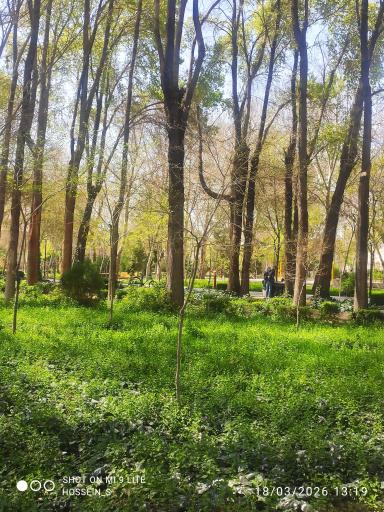 عکس پارک باقوشخانه