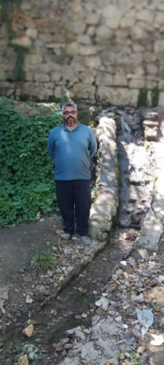 عکس باغ تمشک