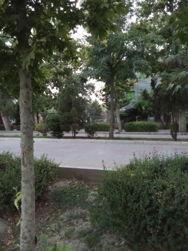 عکس بوستان جنگلی قائم