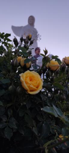 عکس بنای یادبود مقام مادر 