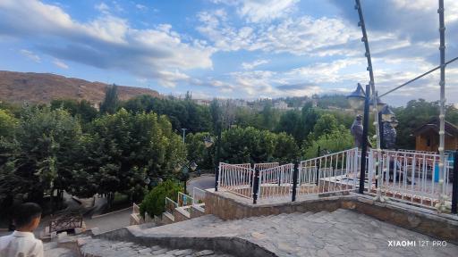 عکس باغ تمشک