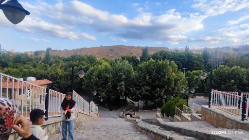 عکس باغ تمشک