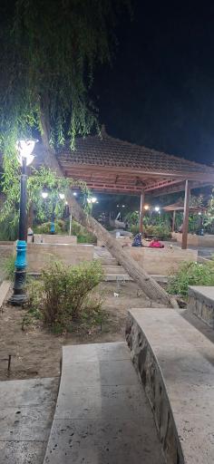عکس باغ تمشک