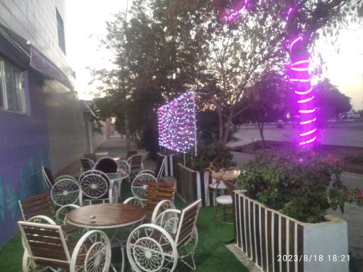 عکس کافه بنفش 