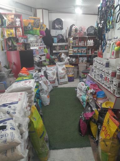 عکس پت شاپ شاه عروس