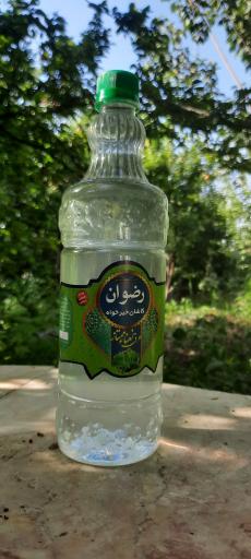 عکس گلاب فروشی رضوان خیرخواه