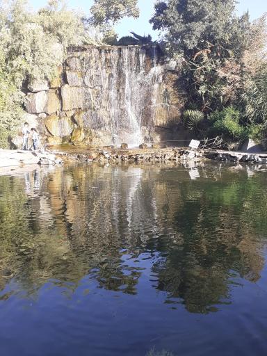 عکس حوضچه ماهی های زینتی