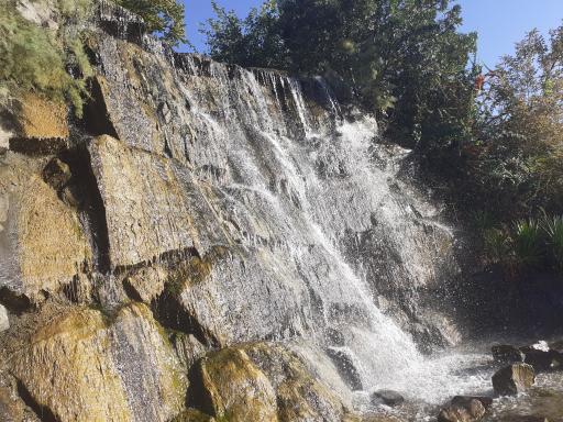 عکس حوضچه ماهی های زینتی