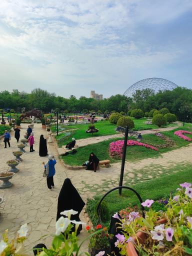 عکس حوضچه ماهی های زینتی