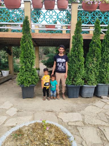 عکس حوضچه ماهی های زینتی