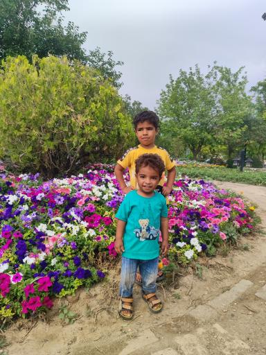 عکس حوضچه ماهی های زینتی