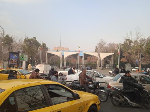 دانشگاه تهران