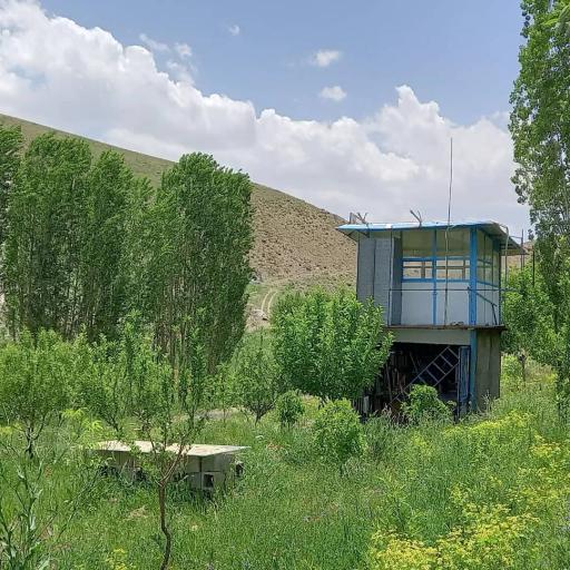 عکس دره ساری