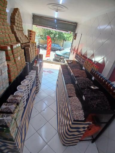 عکس خرماسرای نخلستان