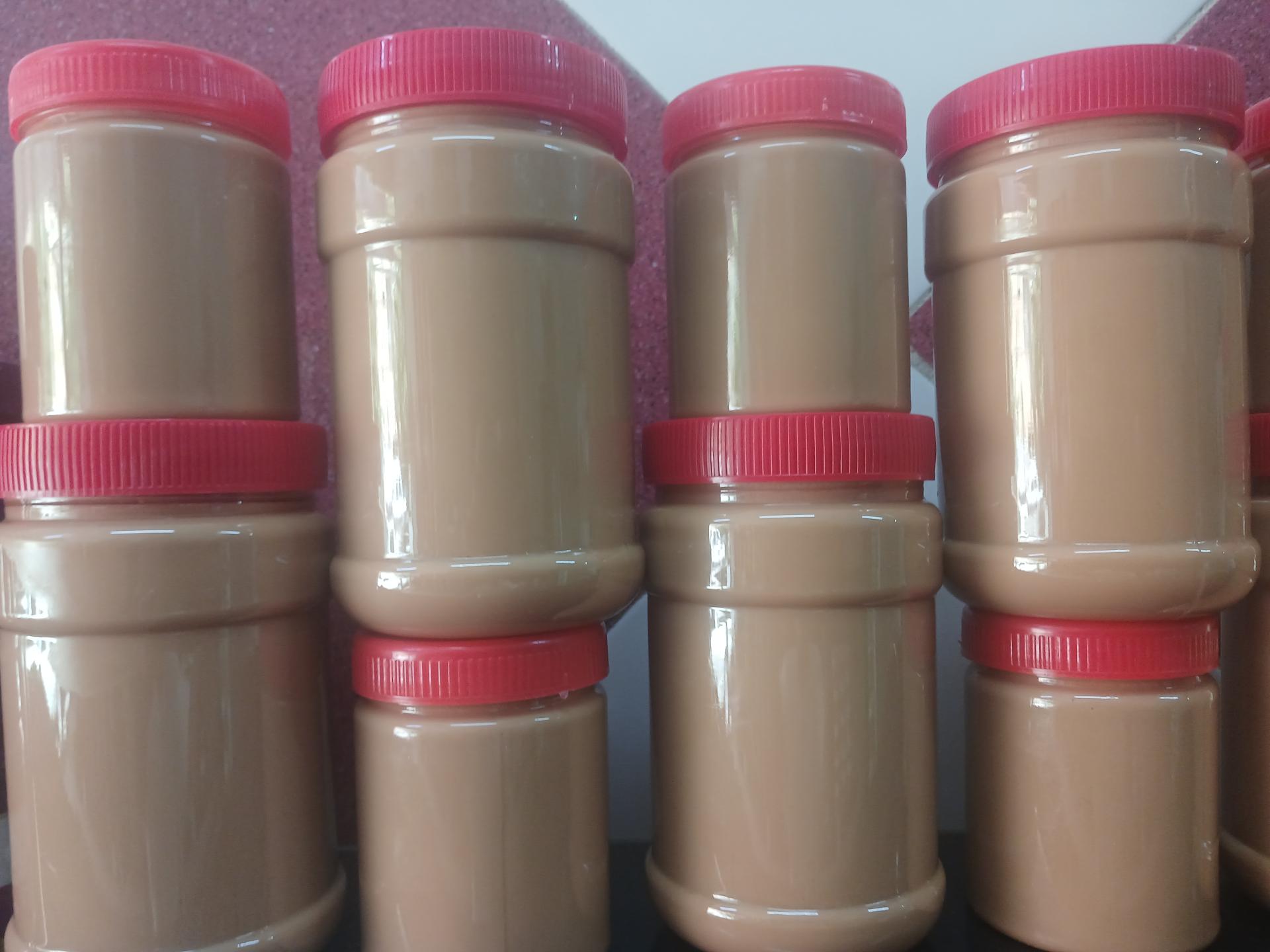 عکس خرماسرای نخلستان