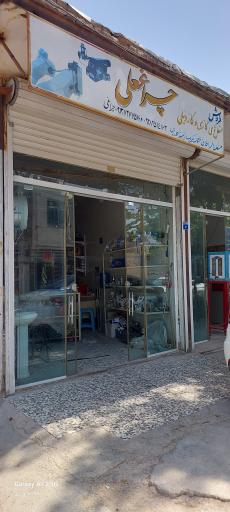 عکس مشعل چراغعلی