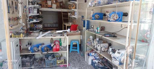 عکس مشعل چراغعلی