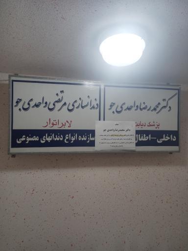 دکتر محمدرضا واحدی جو