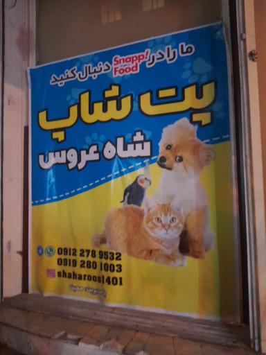 عکس پت شاپ شاه عروس