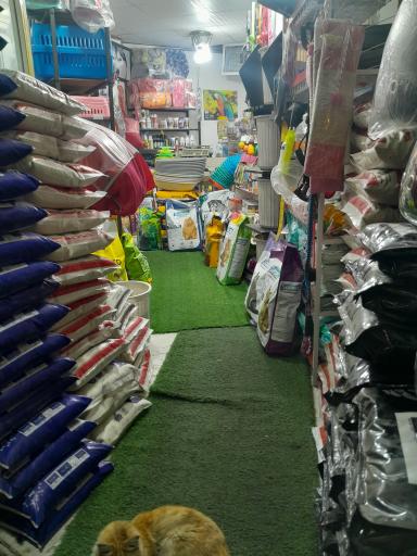 عکس پت شاپ شاه عروس