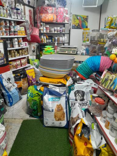 عکس پت شاپ شاه عروس