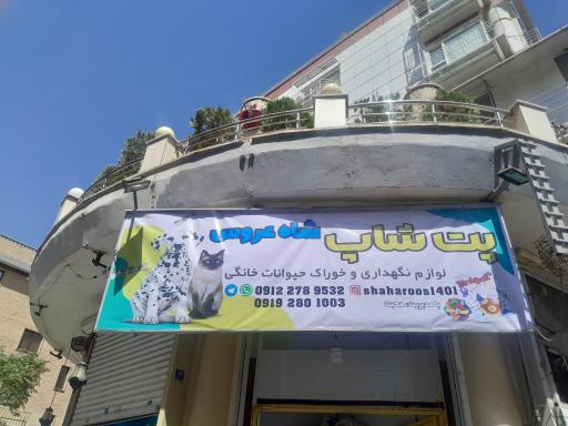 عکس پت شاپ شاه عروس