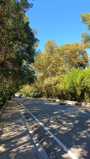 عکس دانشگاه تهران