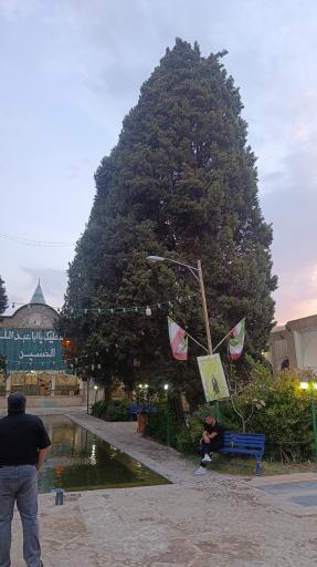 عکس خانه گلاب کاشان