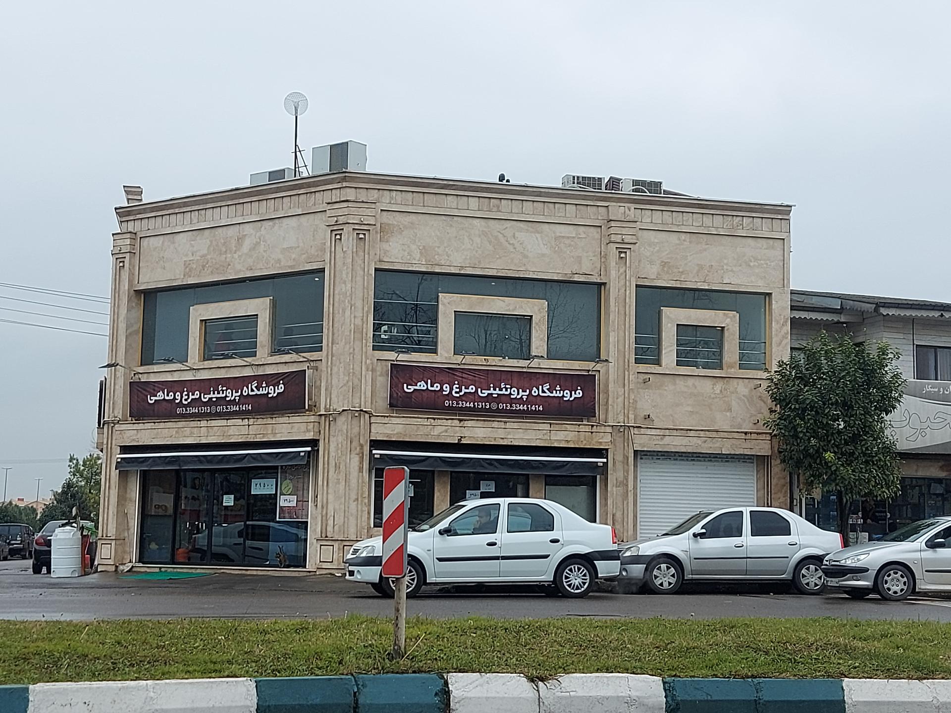 عکس پروتئینی مرغ و ماهی نوید