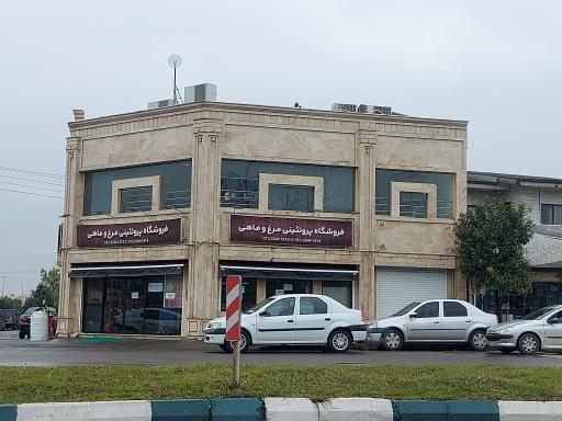 عکس پروتئینی مرغ و ماهی نوید