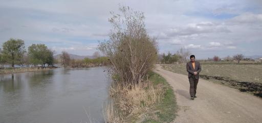 عکس سده لنجان