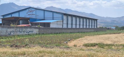 عکس سردخانه فخیمی 