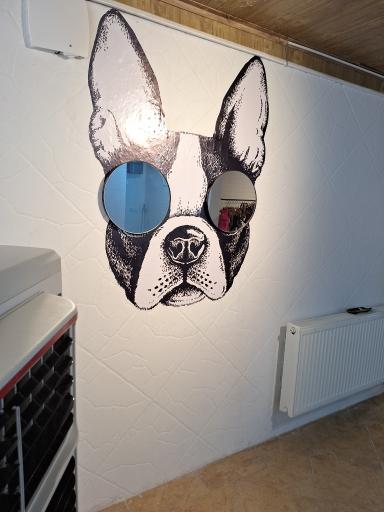 عکس کلینیک دامپزشکی پتی ما