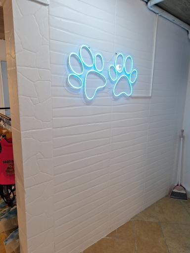 عکس کلینیک دامپزشکی پتی ما