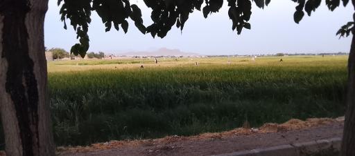 عکس سده لنجان