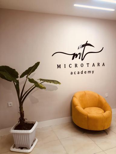 عکس میکرو تارا