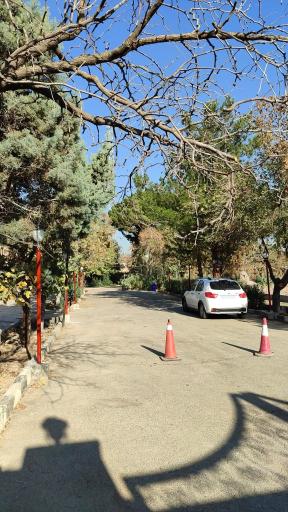 عکس باغ خانوادگی شانلی