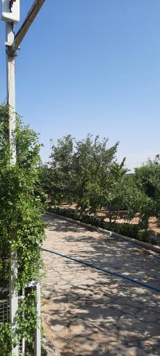 عکس باغ احمد رستگار