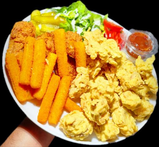 عکس فست فود پانیذ