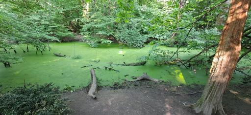 عکس ورودی پارک جنگلی و مرداب سراوان