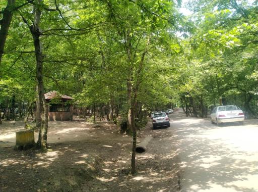 عکس ورودی پارک جنگلی و مرداب سراوان