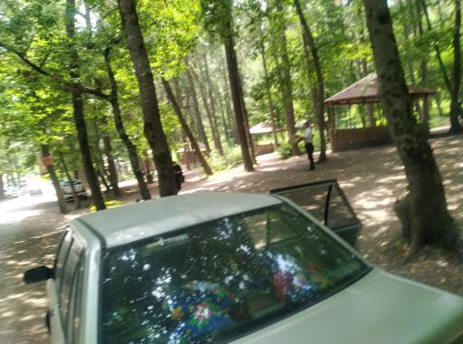 عکس ورودی پارک جنگلی و مرداب سراوان