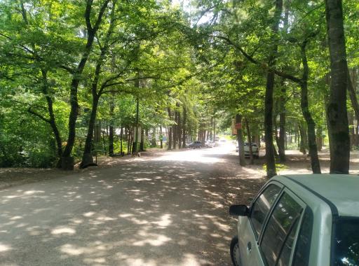 عکس ورودی پارک جنگلی و مرداب سراوان